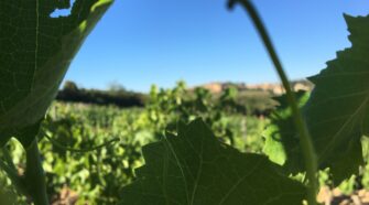 Buywine 2020: aperte le iscrizioni per le aziende
