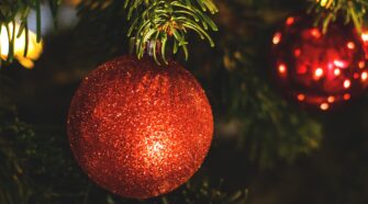 Natale in Compagnia: Kusama Infinity, Karwann, Studio 54, The Bill Murray Stories e molto altro anche per i bambini